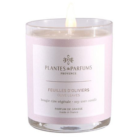 Olive Leaves Geurkaars & Handcrème Poederige Geur 180g