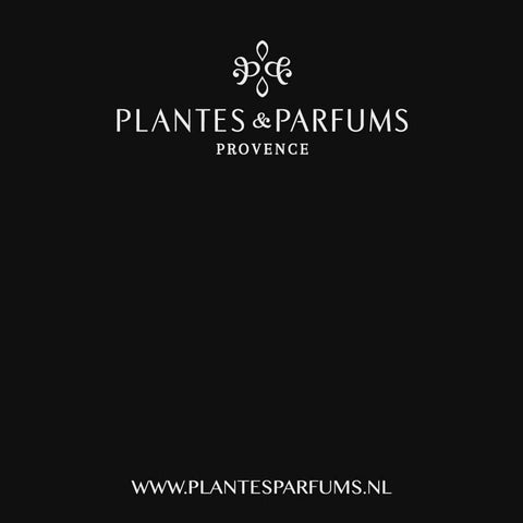 Diva Camellia Geurkaars & Handcrème Bloemige Geur 180g
