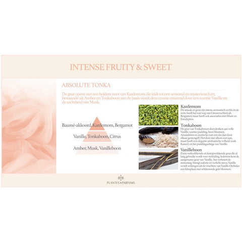 Plantes & Parfums Absolute Tonka Natuurlijke Bloem Geurstok Houtige Geur 100ml