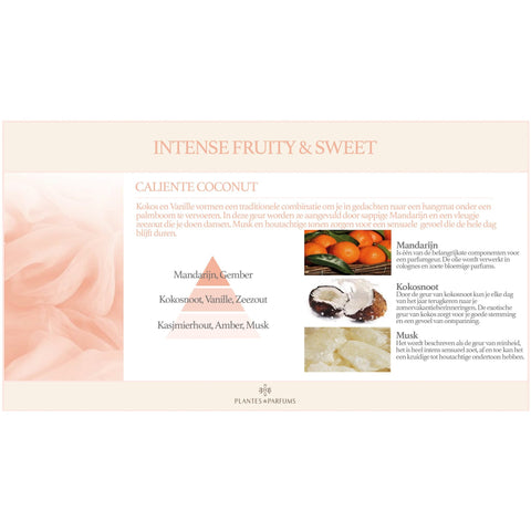 Caliente Coconut Natuurlijke Huisparfum & Linnenspra Fruitige Geur