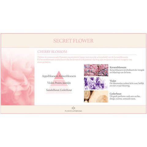 Cherry Blossom Geurkaars & Handcrème Bloemige Geur 180g