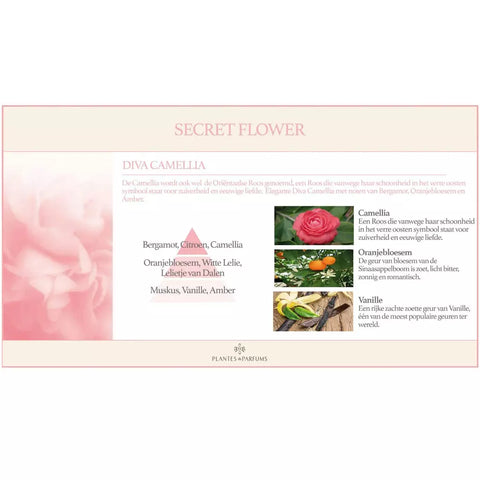 Diva Camellia Natuurlijke Huisparfum & Linnenspray Bloemige Geur