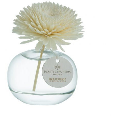 Oriental Wood Natuurlijke Bloem Geurstok Houtige Geur
