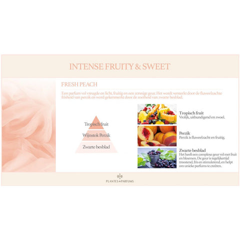 Fresh Peach Geurolie & Navulling Geurstokjes Fruitige Geur