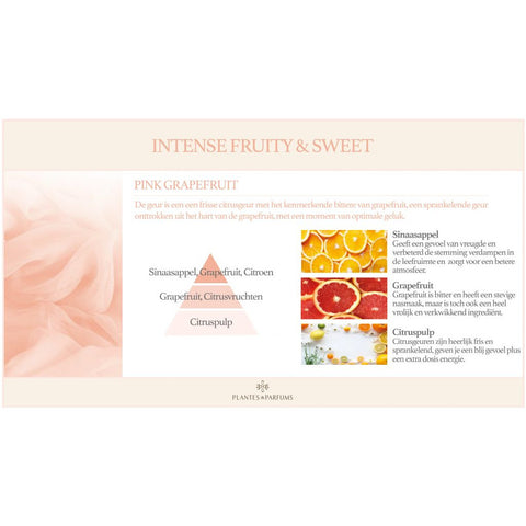 Pink Grapefruit Geurolie & Navulling Geurstokjes Fruitige Geur