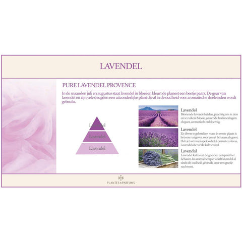 Pure Lavendel Provence Geurkaars & Handcrème Bloemige Geur 180g