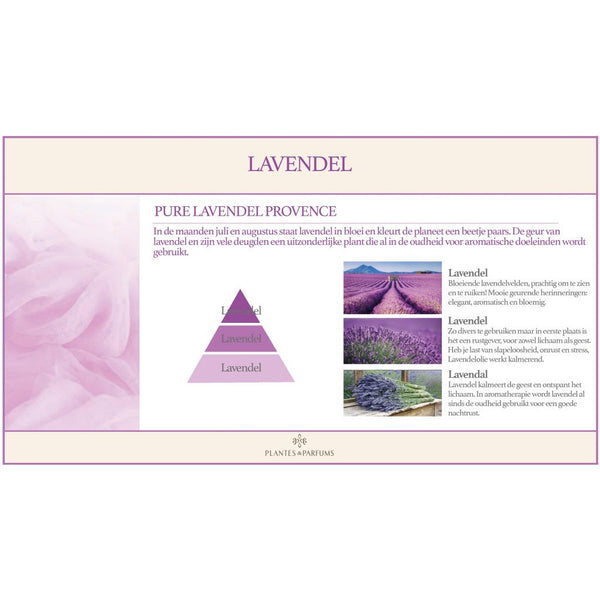 Pure Lavendel Provence Natuurlijke Bloem Geurstok Bloemige Geur