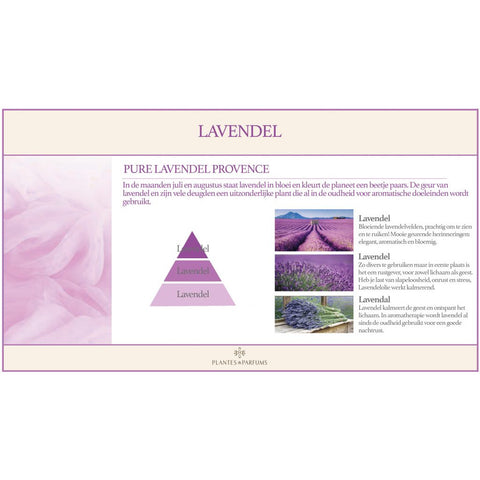 Pure Lavendel Provence Geurolie & Navulling Geurstokjes Bloemige Geur