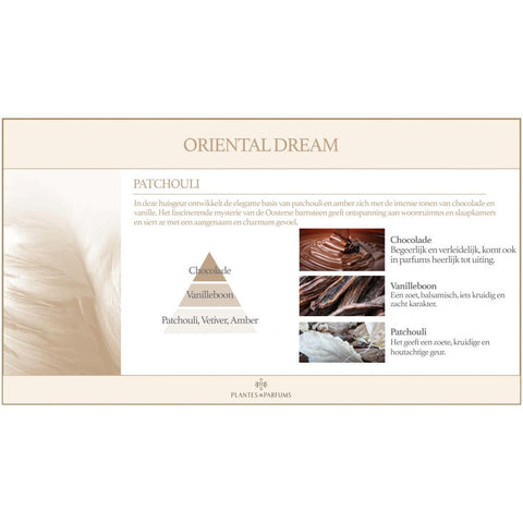Patchouli Geurkaars & Handcrème Houtige Geur 180g