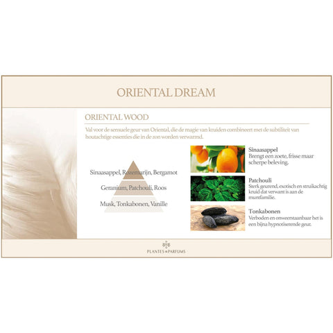 Oriental Wood Geurstokjes Houtige Geur
