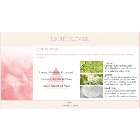 Sand Flower Geurkaars & Handcrème Bloemige Geur 180g
