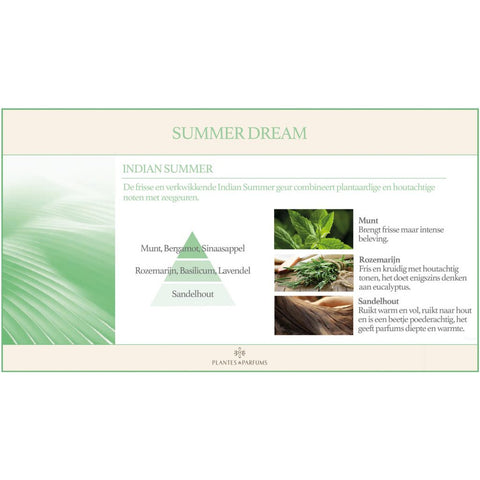 Plantes & Parfums Indian Summer Natuurlijke Bloem Geurstok  Frisse Geur