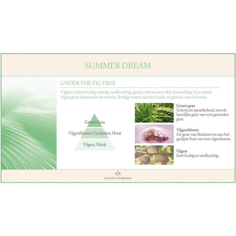 Under The Fig Tree Geurkaars & Handcrème Frisse Geur 180g