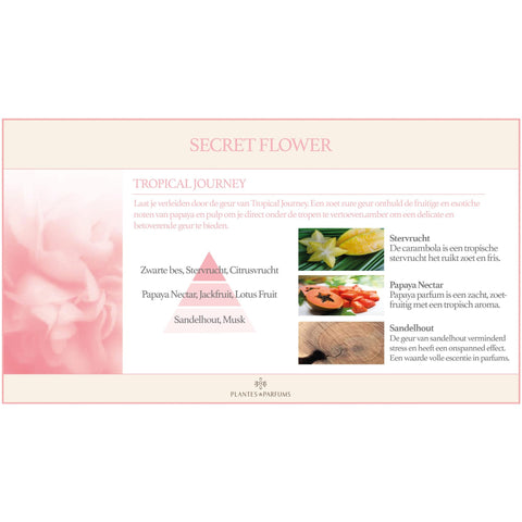 Tropical Journey Geurkaars & Handcrème Bloemige Geur 180g