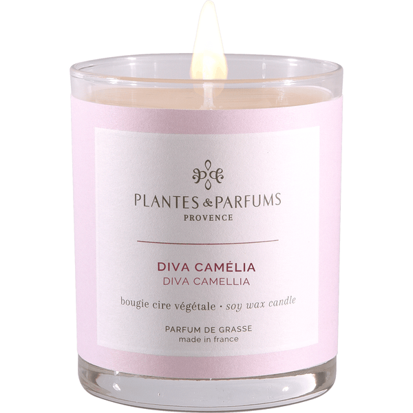 Diva Camellia Geurkaars & Handcrème Bloemige Geur 180g